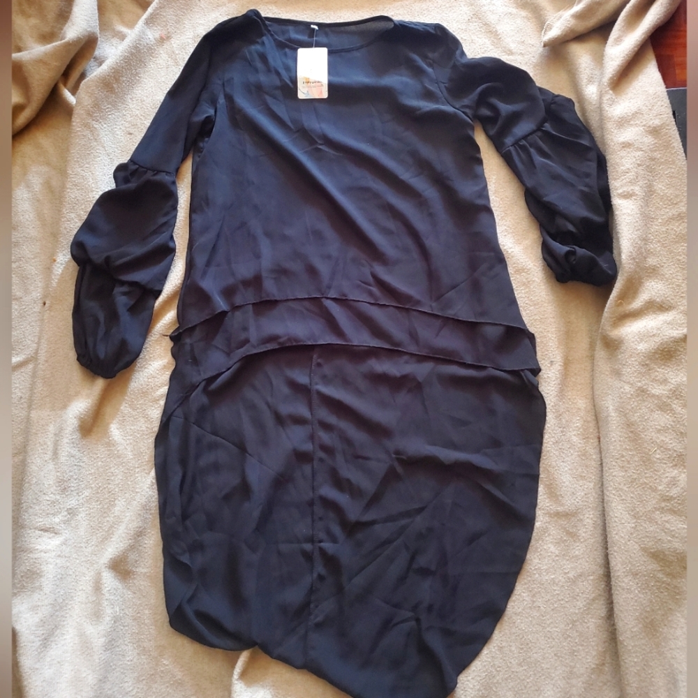 Lantern Long Sleeve Blouse Dress